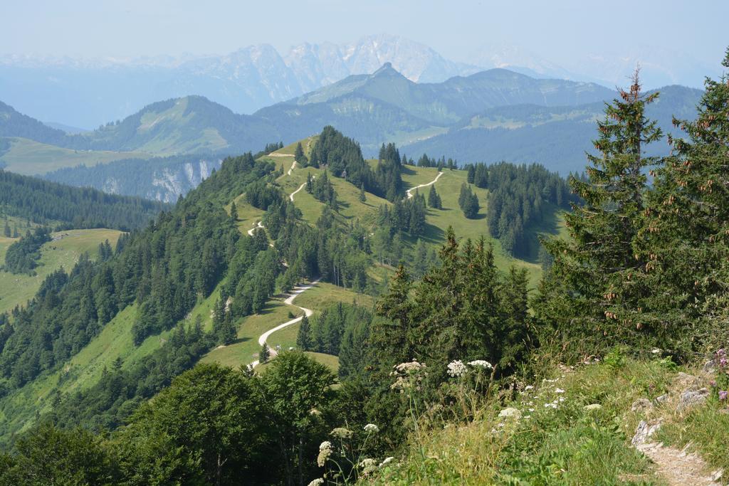 Appart Weisse Urlauben Am Wolfgangsee ザンクト・ギルゲン エクステリア 写真